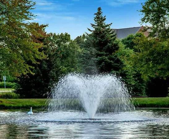 Essential Features to Consider When Buying Pumps for Fountains
