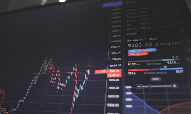 How to Choose the Right Stock Market Training Institute